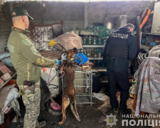 Мешканець Запоріжжя незаконно зберігав небезпечні боєприпаси у себе вдома (фото)