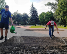 Квітучий експеримент - ділянки в центрі Запоріжжя засіяли різнотрав&#039;ям (фото)
