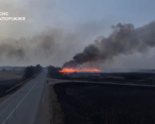 Понад десять пожеж за добу - у Запорізькій області горіли поля (фото)