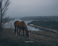 Сухо та похмуро: якою буде погода в Запоріжжі у першій половині робочого тижня — прогноз синоптиків