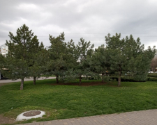 Яка погода у Запоріжжі буде на початку робочого тижня - прогноз