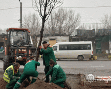 У Запоріжжі на місці загибелі людей після прильотів висадили молоді липи (фото)