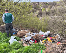 Шар сміття сягає 20 сантиметрів - у Запоріжжі екологи знайшли величезне звалище непотребу біля річки (фото)
