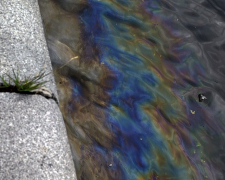 Райдужні плями: у Запоріжжі в Дніпрі виявили забруднення нафтопродуктами - фото