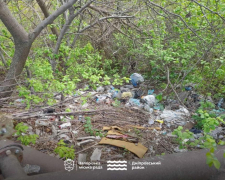 Мальовниче місце зіпсувало звалище: у Запоріжжі містяни виявили купу відходів просто неба (фото)