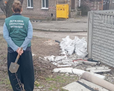 Смітнику у дворі не місце: у Запоріжжі мешканці поскаржились екологам на засмічення (фото)