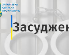 У Запоріжжі домоглись покарання для  чоловіка, який розбещував маленьких дівчаток