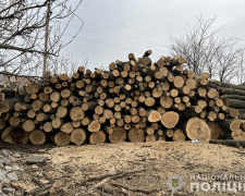 Вирубували дерева та продавали -  у Запорізькому районі поліцейські затримали трьох чоловіків