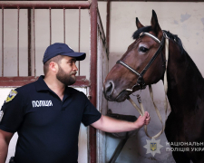 Гек і Гуляка стали патрульними - У Запоріжжі кінна поліція отримала нових скакунів (фото)
