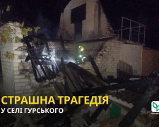 Двоє людей у лікарні з тяжкими опіками - на Запоріжжі вибух газового балона перетворив дачу на згарище