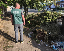 Купи гілок та побутових відходів - у Запоріжжі екоінспектори виявили стихійне сміттєзвалище (фото)
