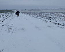 Озимі можуть загинути - поля на Запоріжжі вкрилися льодовою кіркою