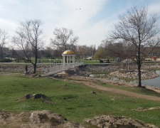 Черепах переселили – у Запоріжжі врятували плазунів з пересохлої водойми (фото, відео)