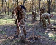 Примножили красу острова - військові та молодь висадили на Хортиці нові дерева (фото)