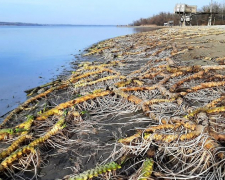 Водойми в Запорізькій області катастрофічно міліють з кожним днем - фото