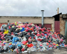 Токсичне забруднення у Запорізькому районі — слідство вийшло на керівника підприємства (фото)