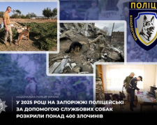 Запорізькі собаки допомагають розслідувати вбивства та розшукують людей - цікаві випадки розкриття справ