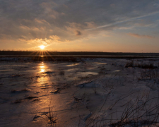 П&#039;ять температурних рекордів - зима у Запоріжжі стала однією з найтепліших за всю історію