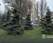 Незручність для вандалів - як на вулицях і в парках Запоріжжя обробляють ялинки