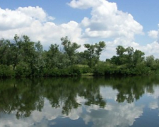 У водоймах Запоріжжя падає рівень води: яка ситуація на Веслувальному каналі - відео