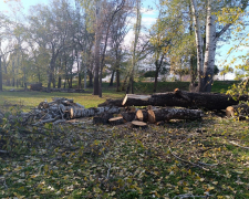 Запоріжці поскаржилися на вирубку дерев у &quot;Дубовому гаю&quot; - на місце виїхали екологи