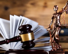 Ліс замість котеджів - на Запоріжжі прокуратура відсудила  3,4 га, які незаконно перевели під забудову