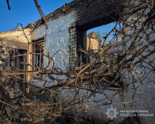 Росіяни атакували FPV-дронами прифронтовий Оріхів - постраждав чоловік