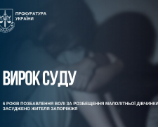 Шість років в'язниці отримав житель Запоріжжя за розпусні дії щодо дівчинки, фото: Запорізька обласна прокуратура 