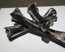 Металеві кістки і сталеві картини - у Запоріжжі відкрили символічну виставку про місто (фото)