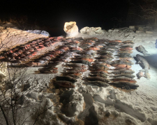 На Дніпровському водосховищі затримали двох браконьєрів - збитки перевищують пів мільйона гривень (фото)