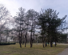 "Дубовий гай" у Запоріжжі в березні 2026 року. Фото: Антоніна Фролова