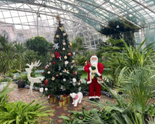 Освідчення серед пальм - у запорізькому ботсаду новий рік почався з романтичної події (фото)