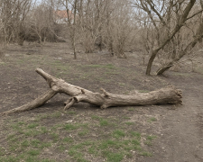 У Запоріжжі прибрали купи сміття поблизу перехрестя