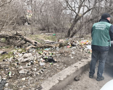 Каністри, покришки і кавові стаканчики: у Запоріжжі екологи виявили смітник біля парковки (фото)