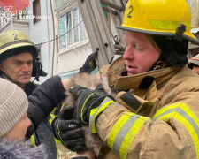 Загасили чотири пожежі та врятували котика - на які виклики, не пов'язані з воєнними діями, виїздили запорізькі надзвичайники за добу (відео, фото)