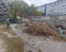 Сміття під вікнами вишу — у Запоріжжі біля університету знайшли два стихійні звалища (фото)