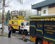 Нависла небезпека: у Запоріжжі аварійна гілка стривожила мешканців (фото)