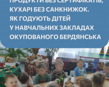  В шкільних їдальнях окупованого Бердянська панує антисанітарія, фото: Бердянськ 24