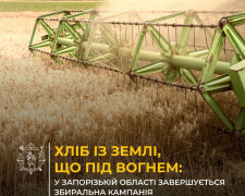 Аграрний фронт - російські атаки спалили сотні гектарів врожаю на Запоріжжі