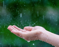 Щоденні дощі - якою буде погода в Запоріжжі найближчими днями