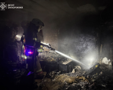 Задимлена пастка - як рятувальники в останній момент врятували жінку в Запоріжжі (фото)