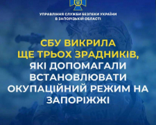 Переєстрація майна, психіатрична «допомога» та отримання соцвиплат – на Запоріжжі викрили ще трьох зрадників