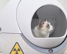 Вберегти від радіації: як захистити домашніх тварин у разі катастрофи на ЗАЕС