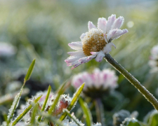 Заморозки та грози насуваються — якою буде погода у Запоріжжі наприкінці робочого тижня