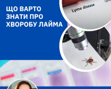 У Запоріжжі з початку року зафіксували  п'ять випадків хвороби лайма, фото: Запорізькій ЦКПХ