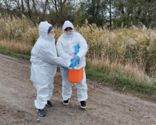 Проти сказу - у Запорізькій області провели осінню вакцинацію тварин