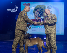 Чотирилапа героїня війни - службова собака із Запоріжжя стала лауреаткою унікального проєкту (фото)