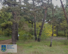 У Запорізькій області землі лісництва незаконно передали у приватну власність - подробиці