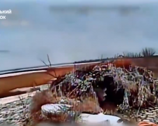 Прикордонники знищили замасковані позиції росіян на Запоріжжі – відео