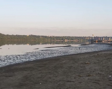 У Запоріжжі падає рівень води в Дніпрі: що кажуть екологи